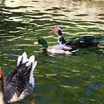 Quinta De Chousas - - Braga