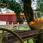 Séjour à la ferme Quinta De Chousas - - Braga