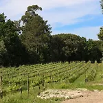 Quinta De Chousas - - Braga