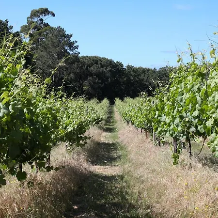 Farm stay Quinta De Chousas - - *