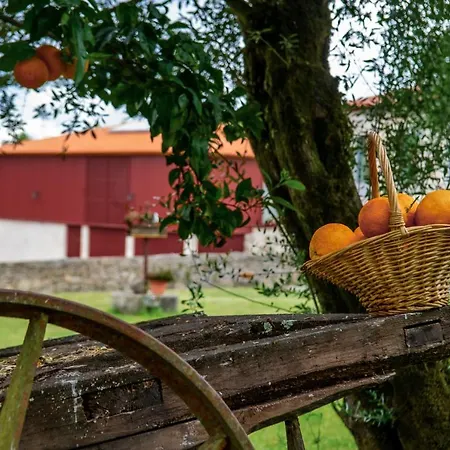 Κατάλυμα σε φάρμα Quinta De Chousas - - Μπράγκα