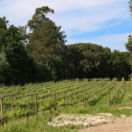 Quinta De Chousas - - Μπράγκα