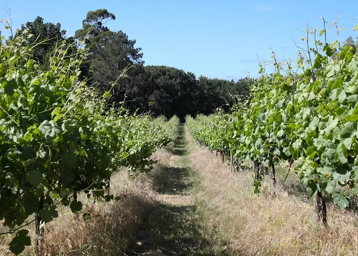 Farmház Quinta De Chousas - - *