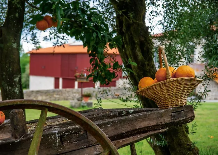 Séjour à la ferme Quinta De Chousas - - Braga